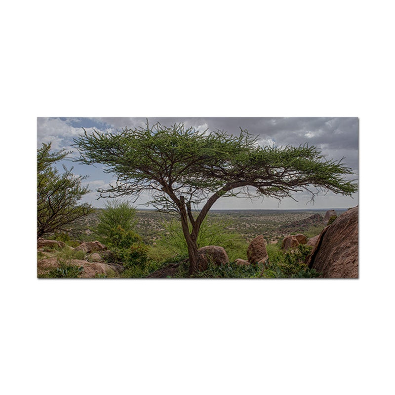 DecorGlance Tree Scenery Canvas Wall Painting