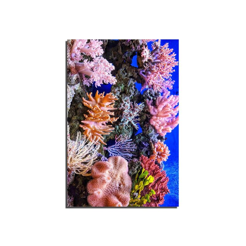 DecorGlance Under Water View Print On Canvas Wall Painting