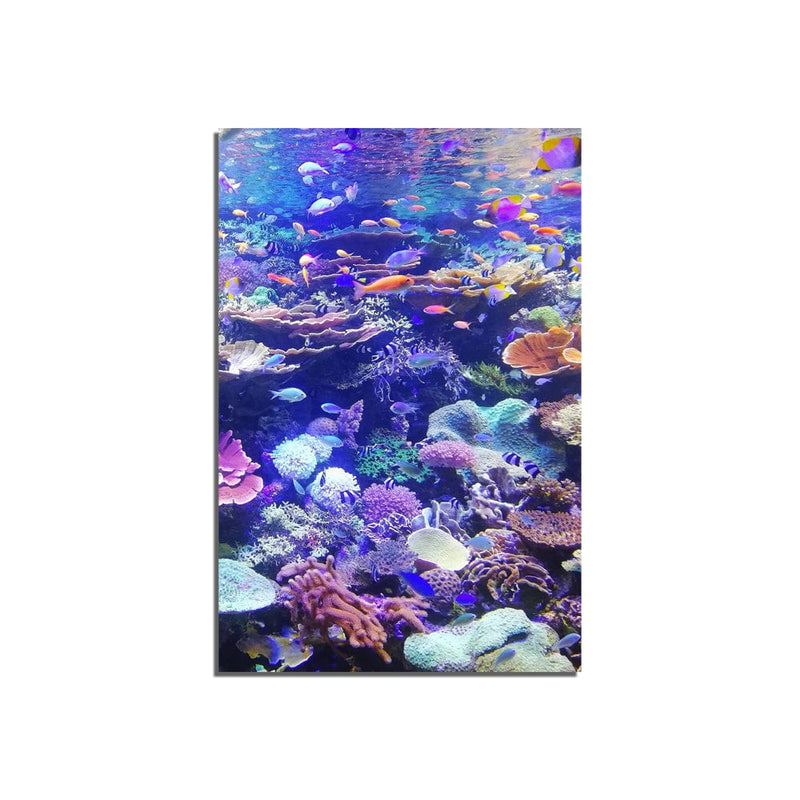 DecorGlance Under Water View Print On Canvas Wall Painting