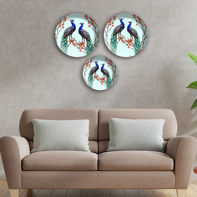 DecorGlance Wall accent Pair of Peacock Wall Plates Painting Set of Three