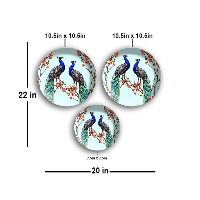 DecorGlance Wall accent Pair of Peacock Wall Plates Painting Set of Three