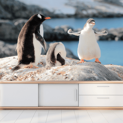 DecorGlance Wallpaper Penguins Digitally Printed Wallpaper