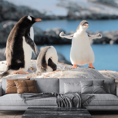 DecorGlance Wallpaper Penguins Digitally Printed Wallpaper