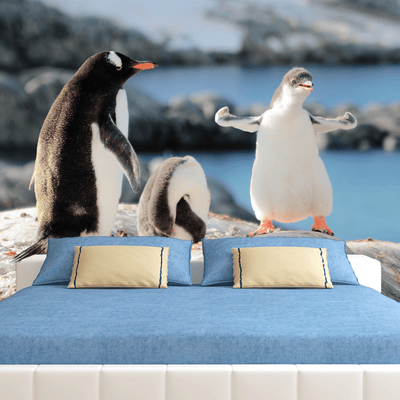 DecorGlance Wallpaper Penguins Digitally Printed Wallpaper