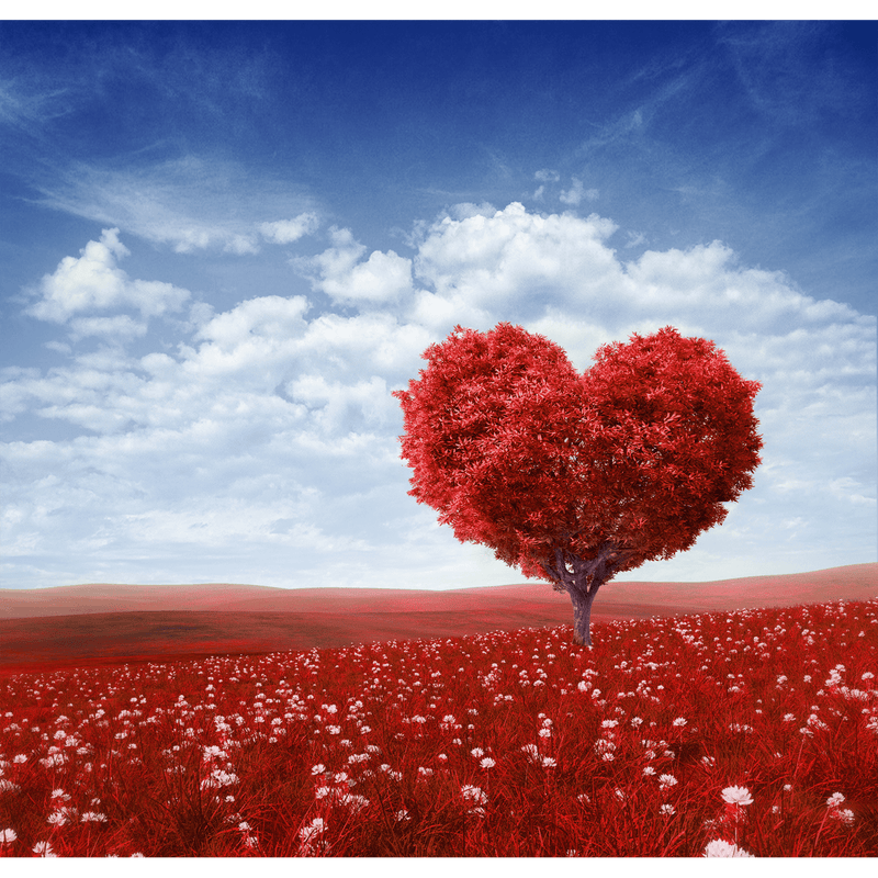 DecorGlance Wallpaper Red Tree In The Shape Of Heart Digitally Printed Wallpaper