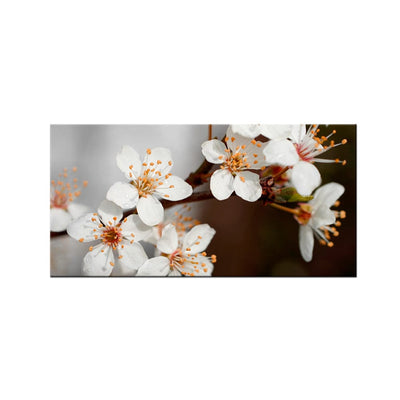 DecorGlance White Blossom Flower Canvas Wall Painting