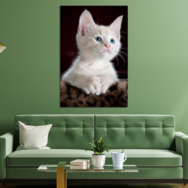 DecorGlance White Kitten Print On Canvas Wall Painting