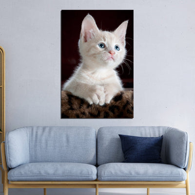DecorGlance White Kitten Print On Canvas Wall Painting