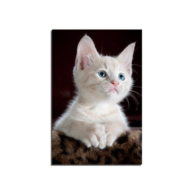 DecorGlance White Kitten Print On Canvas Wall Painting