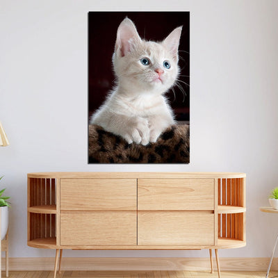 DecorGlance White Kitten Print On Canvas Wall Painting