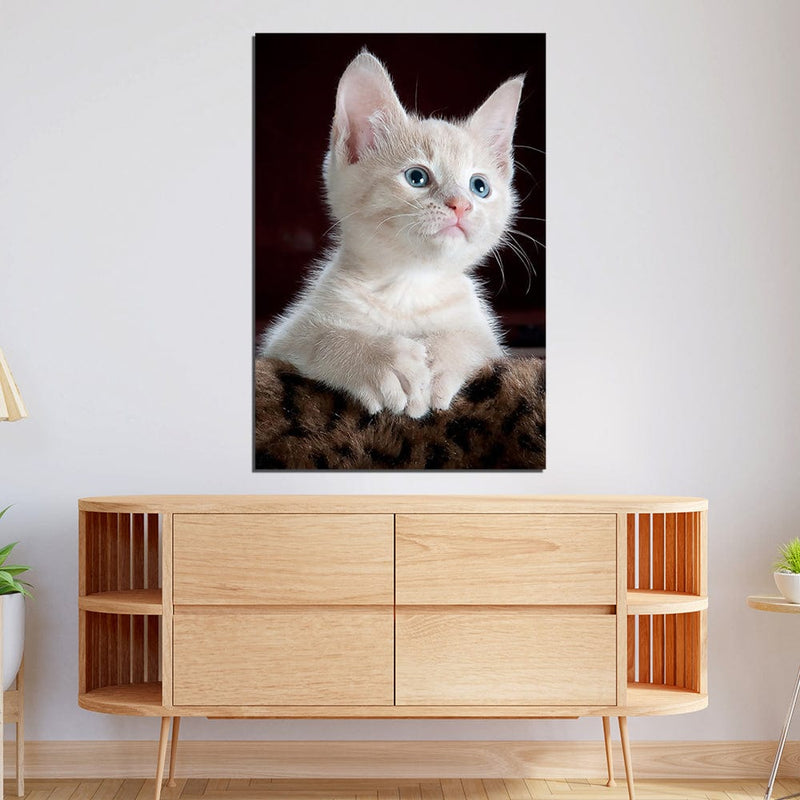 DecorGlance White Kitten Print On Canvas Wall Painting