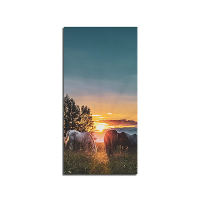 DecorGlance Wild Horse Pictures Print On Canvas Wall Painting