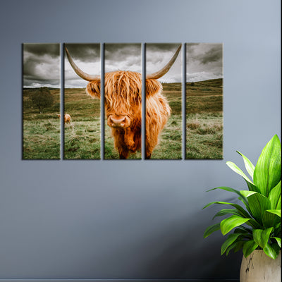 Highland Cattle With Scenic Canvas Wall Painting- With 5 Frames